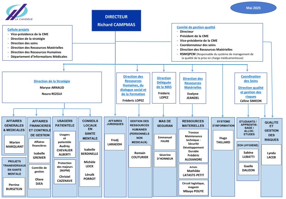 Organigramme direction janvier 2025